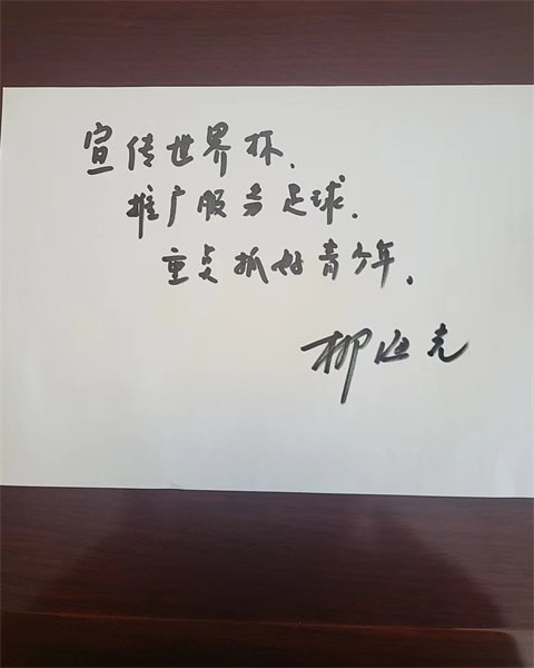 足球柳海光简历,中国足球柳海光视频