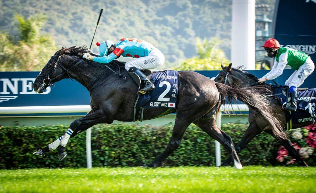 “加州星球”能否打败“金枪六十”？