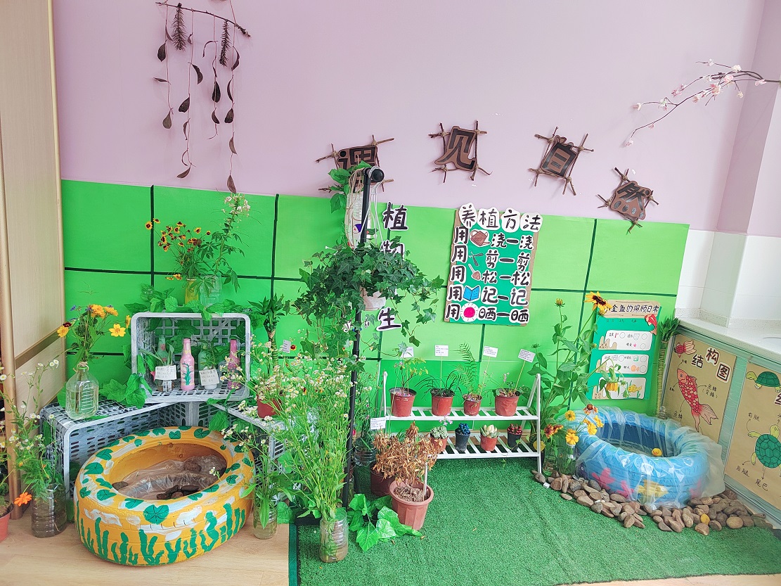 湘南幼专技能测试,湘南幼专课程表