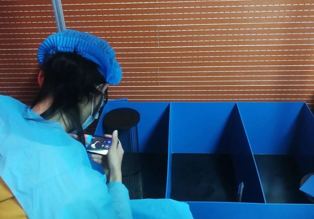 高校心理学实验室,武汉大学哲学学院心理学