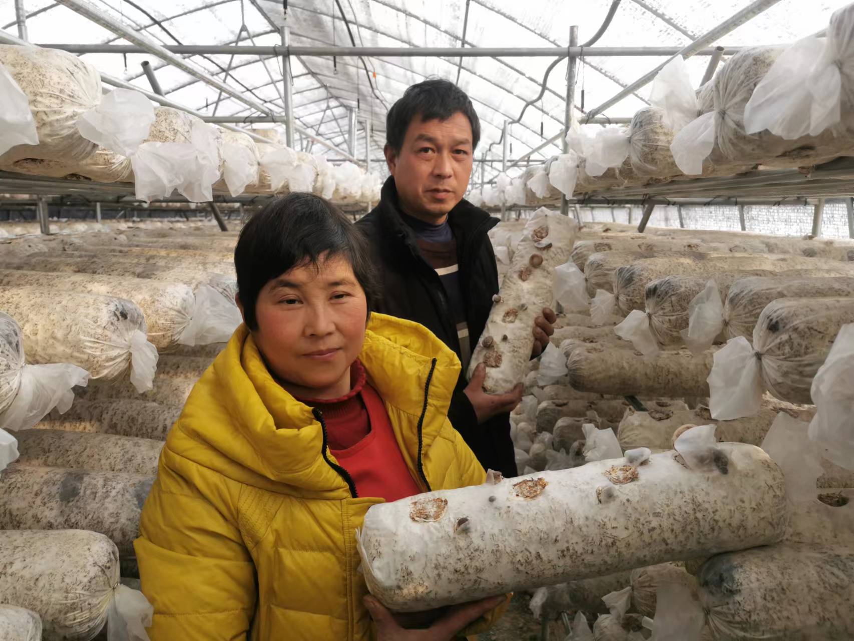 搬出大山开启新奋斗的起点,搬出大山开启小康新生活