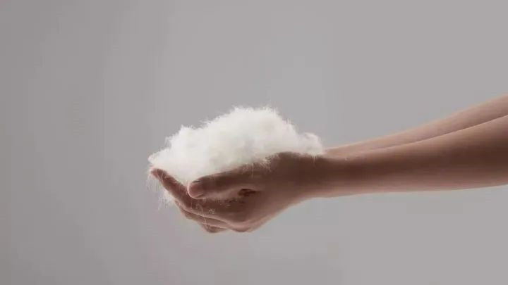 中国羽绒服vs国外羽绒服,羽绒服大战