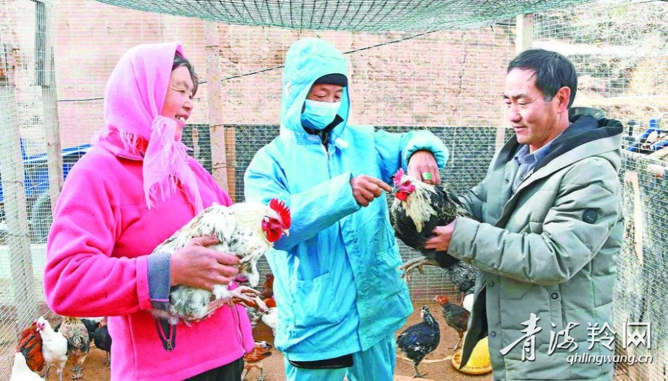 冬日，美好图景处处暖