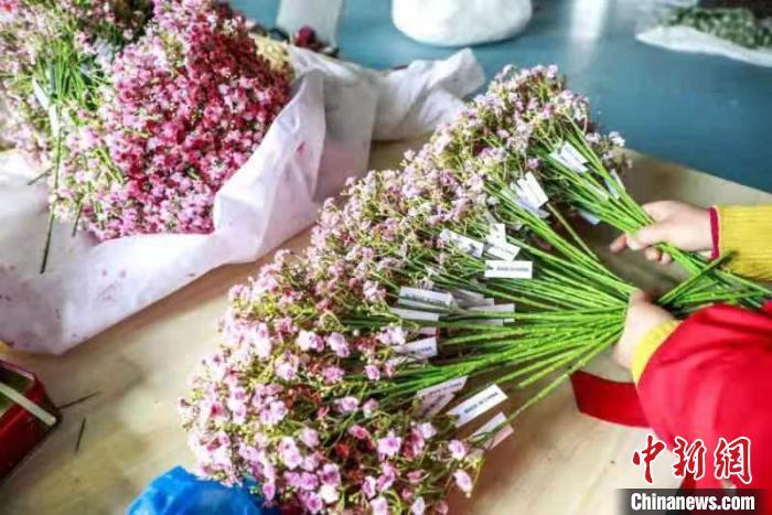 甘肃华亭“巧手女人坊”:仿真花“香飘”海外望来年“春暖花开”