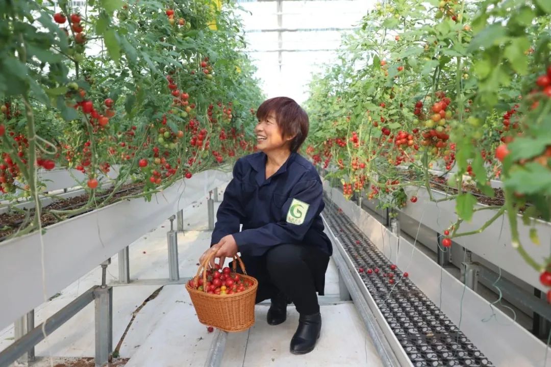 凝心聚力再发力,凝心聚力推进镇域经济高质量发展