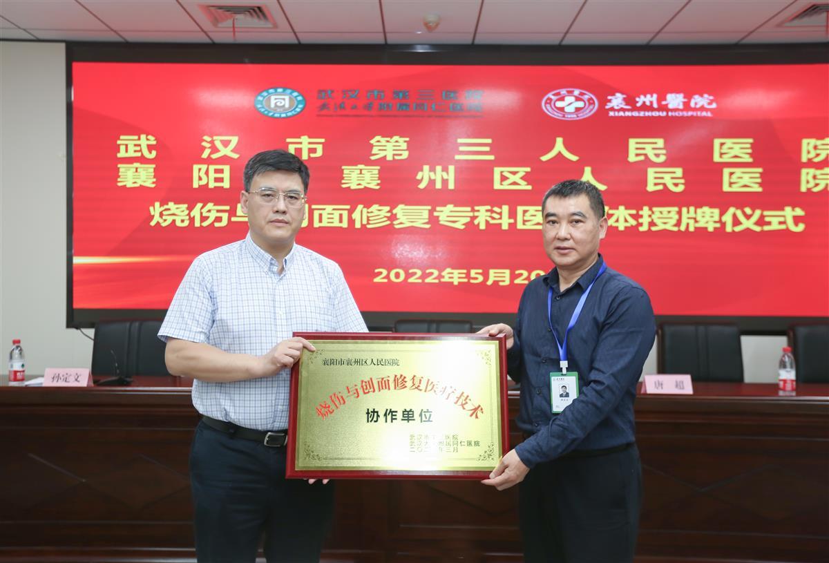 国家区域医疗中心有序推进,区域医疗中心建设发展路径