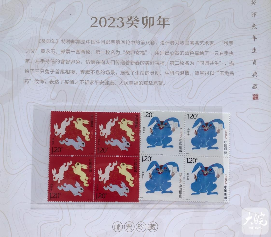 兔年说兔：安徽有地方以兔命名“皖兔”新品种未来可期