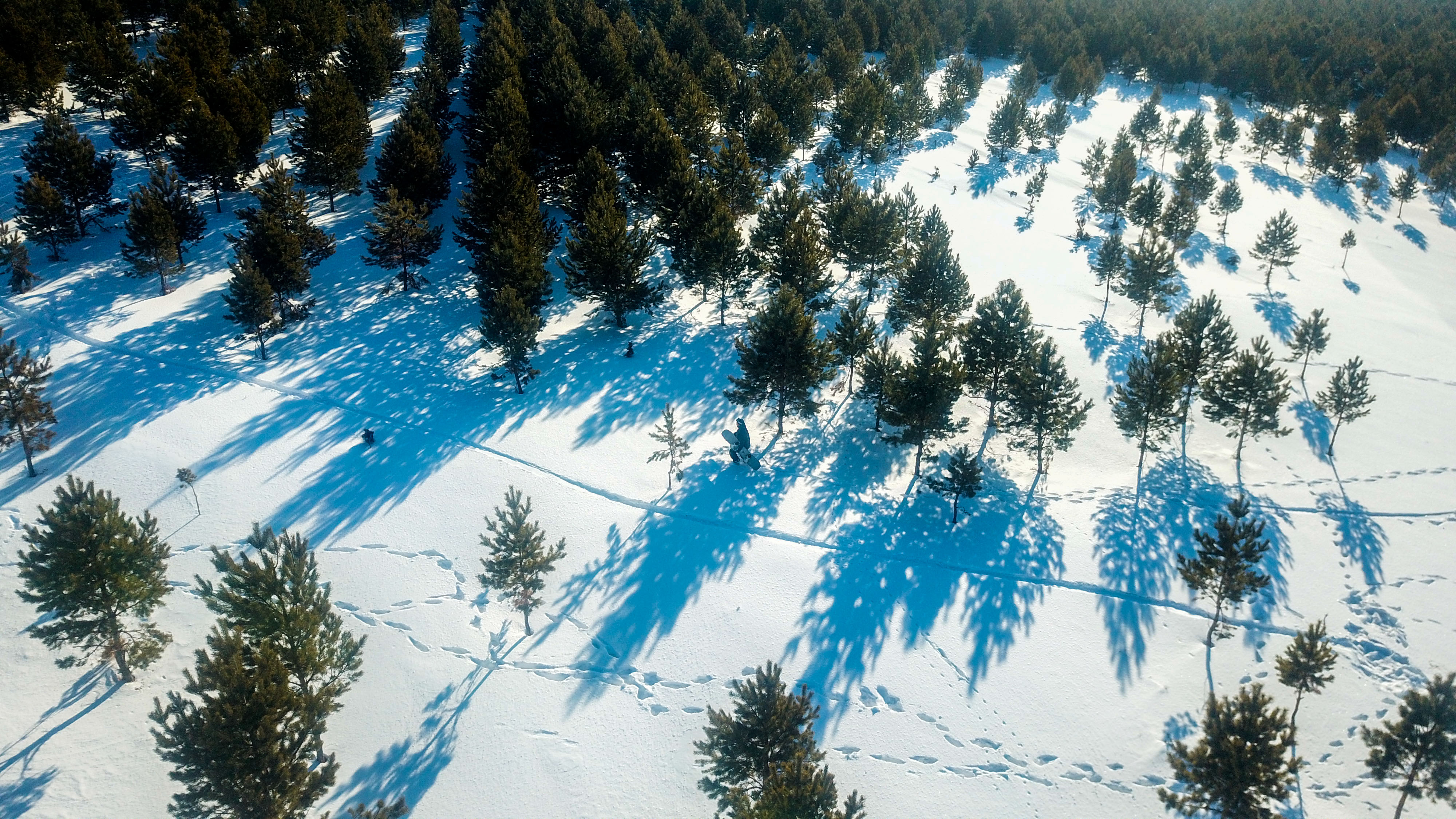 雪野滑雪场里的必玩项目,雪野滑雪场邀您一起来滑雪