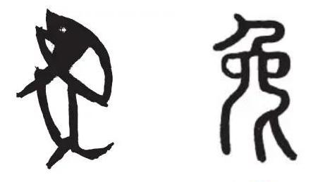 盘点那些年的兔子,现实中的兔子和想象中的兔子