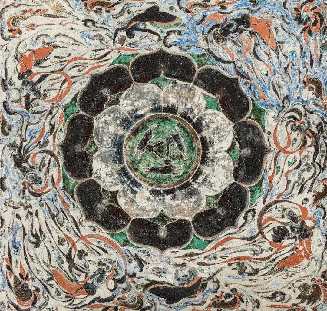 兔年有什么兔子,兔年遇见野兔预兆