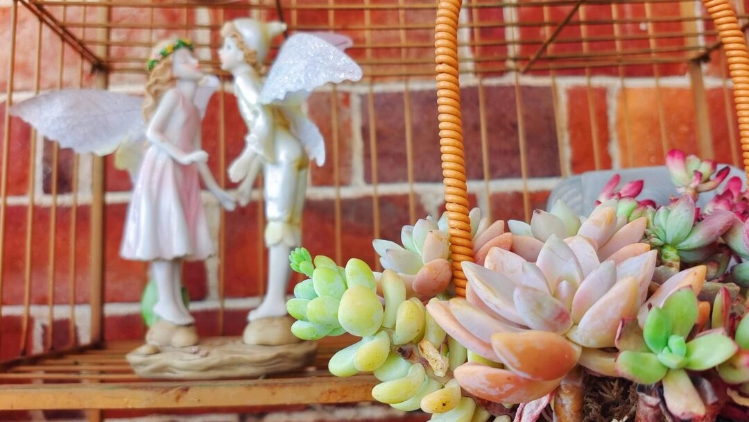 长沙春节游客多少人,春节长沙接待游客是最多的吗