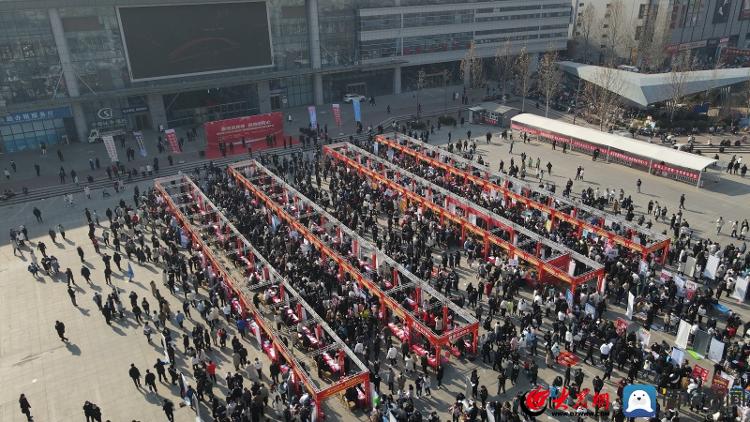 聊城人才市场招聘会几号开,山东聊城人才市场招聘