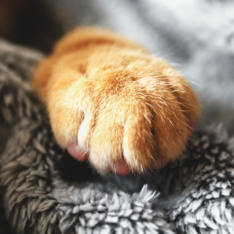 文创礼物2024,文创礼品福利品