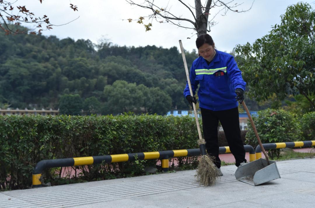 最美环卫工人专访,最美环卫工林桂珠