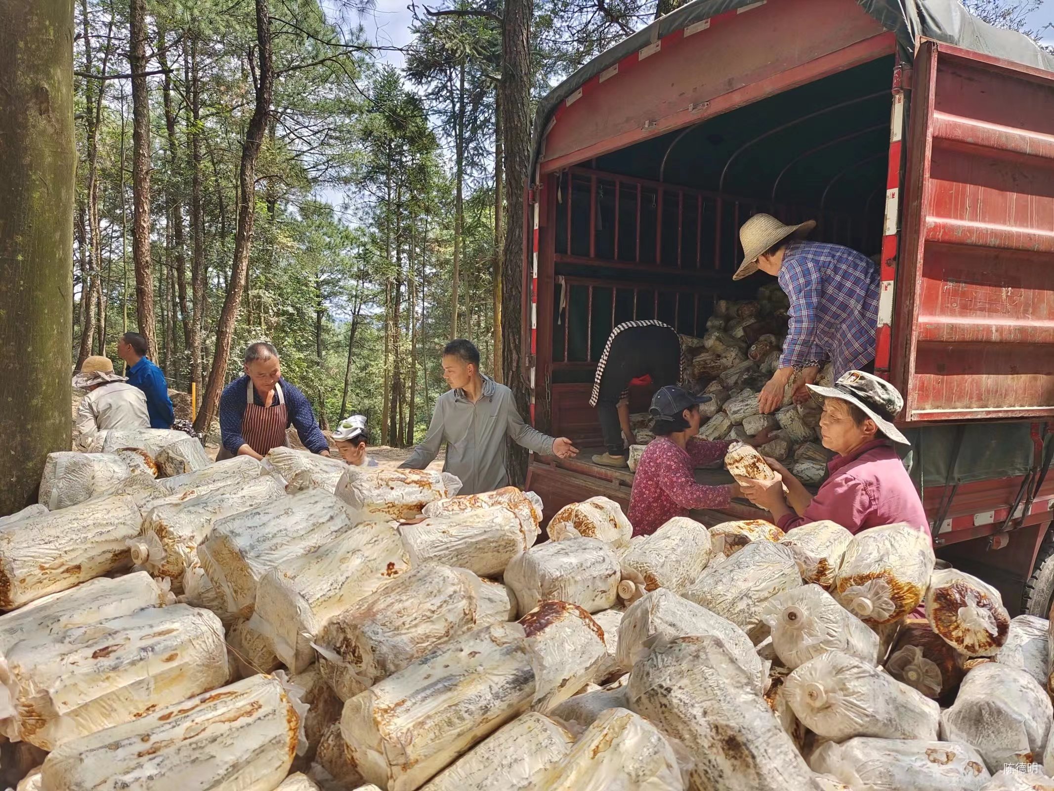 党员冬训“学习+服务”见实效,党员冬训活动实效