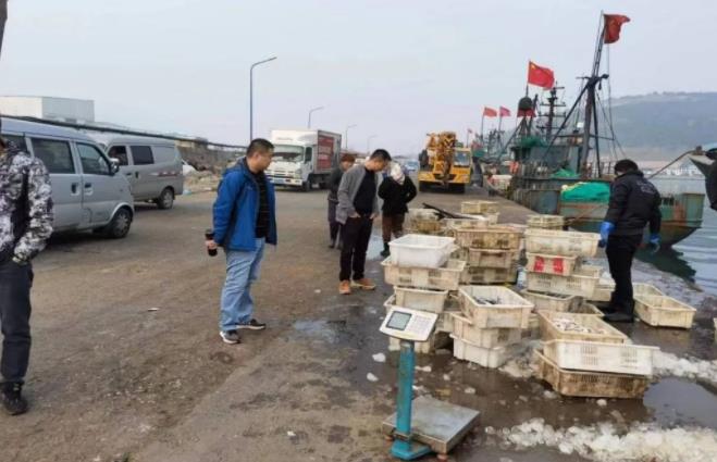 通威农发现状,通威农发盐城