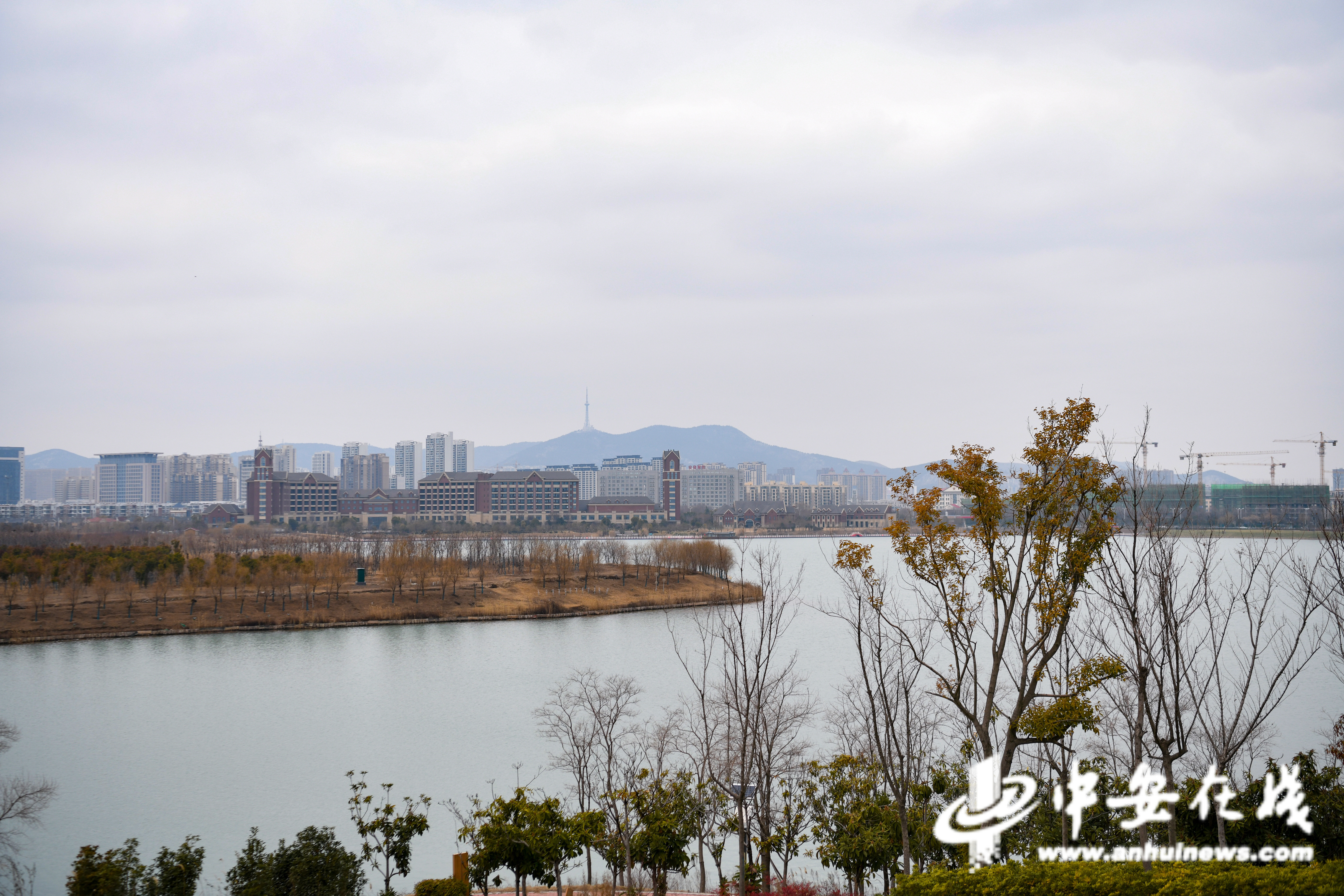 淮北：“淮”抱绿金辞“旧”迎“新”