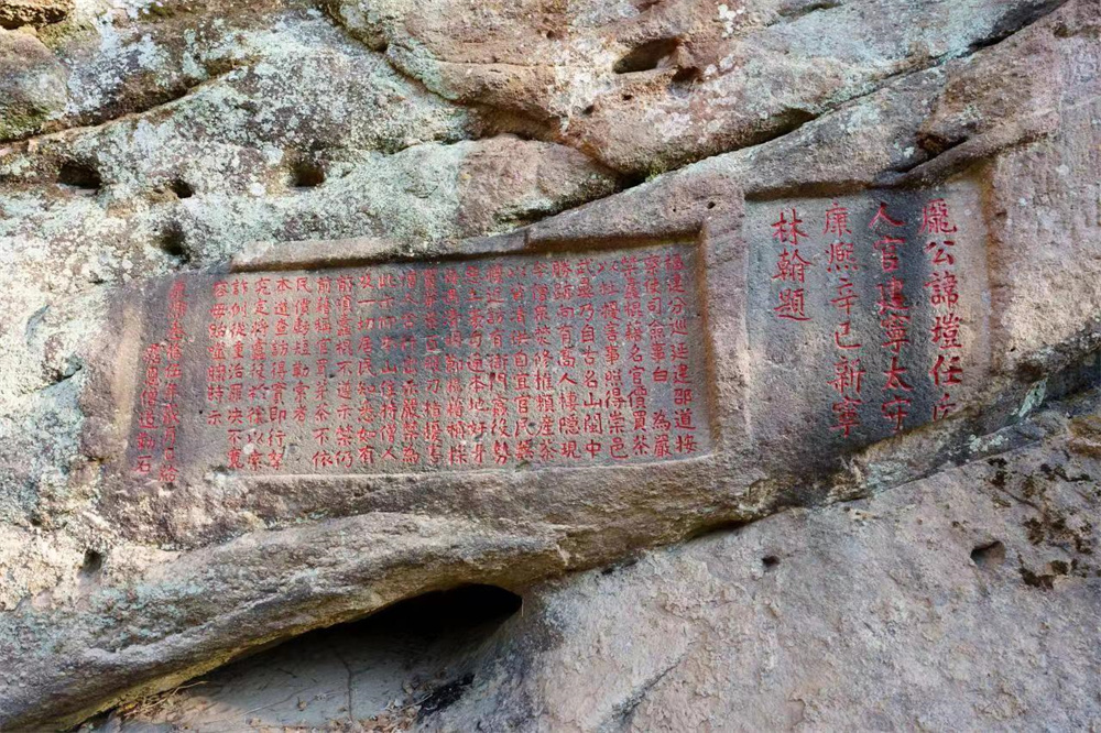 品味武夷山茶文化的理想之地,武夷茶文化历史简介