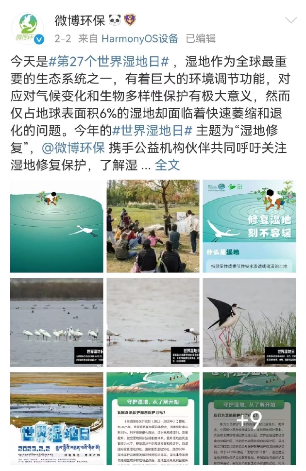 公益报道传播正能量获得大流量,微博发布11月公益简报