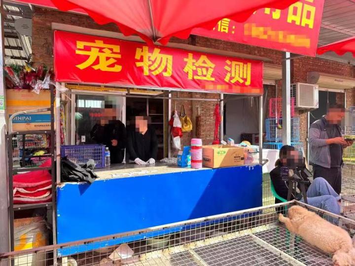 宠物线上代购主播背后的圈套：谁演得好谁就赚得多