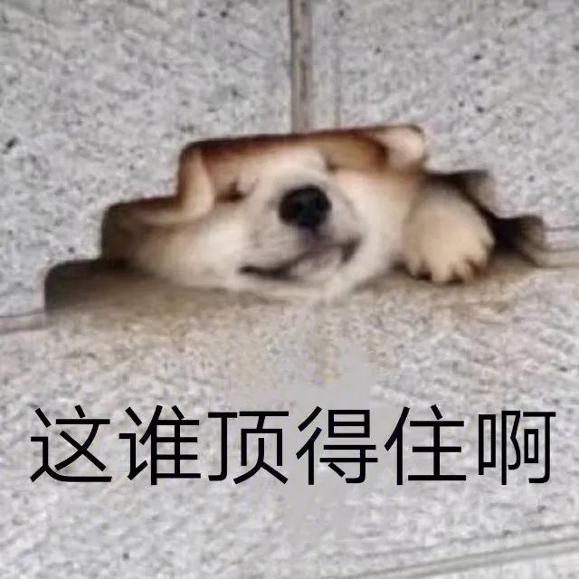 验证码导致手机信息被泄露,验证码骚扰怎么找到幕后黑手