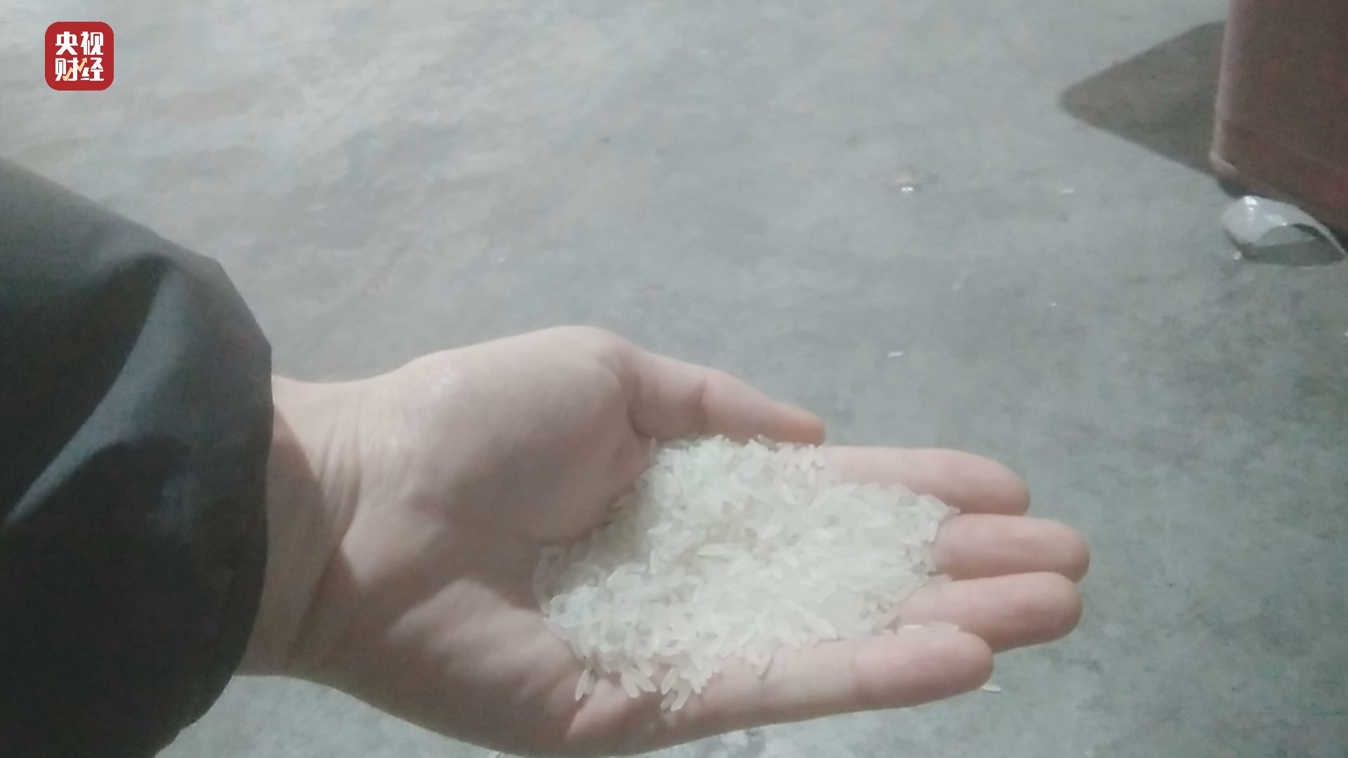 315曝光的瓜,315曝光茉莉泰国香米