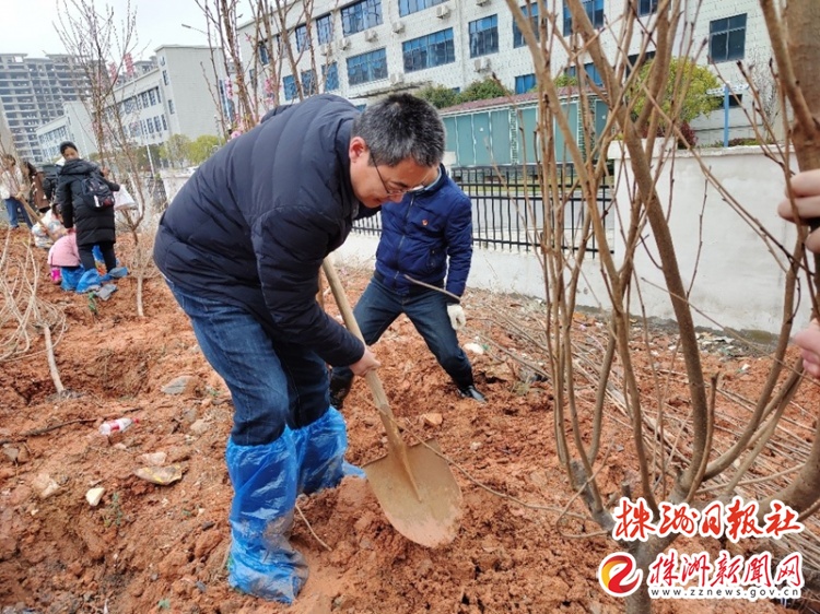 株洲城区义务植树地点公布,义务植树活动为美丽家园添绿
