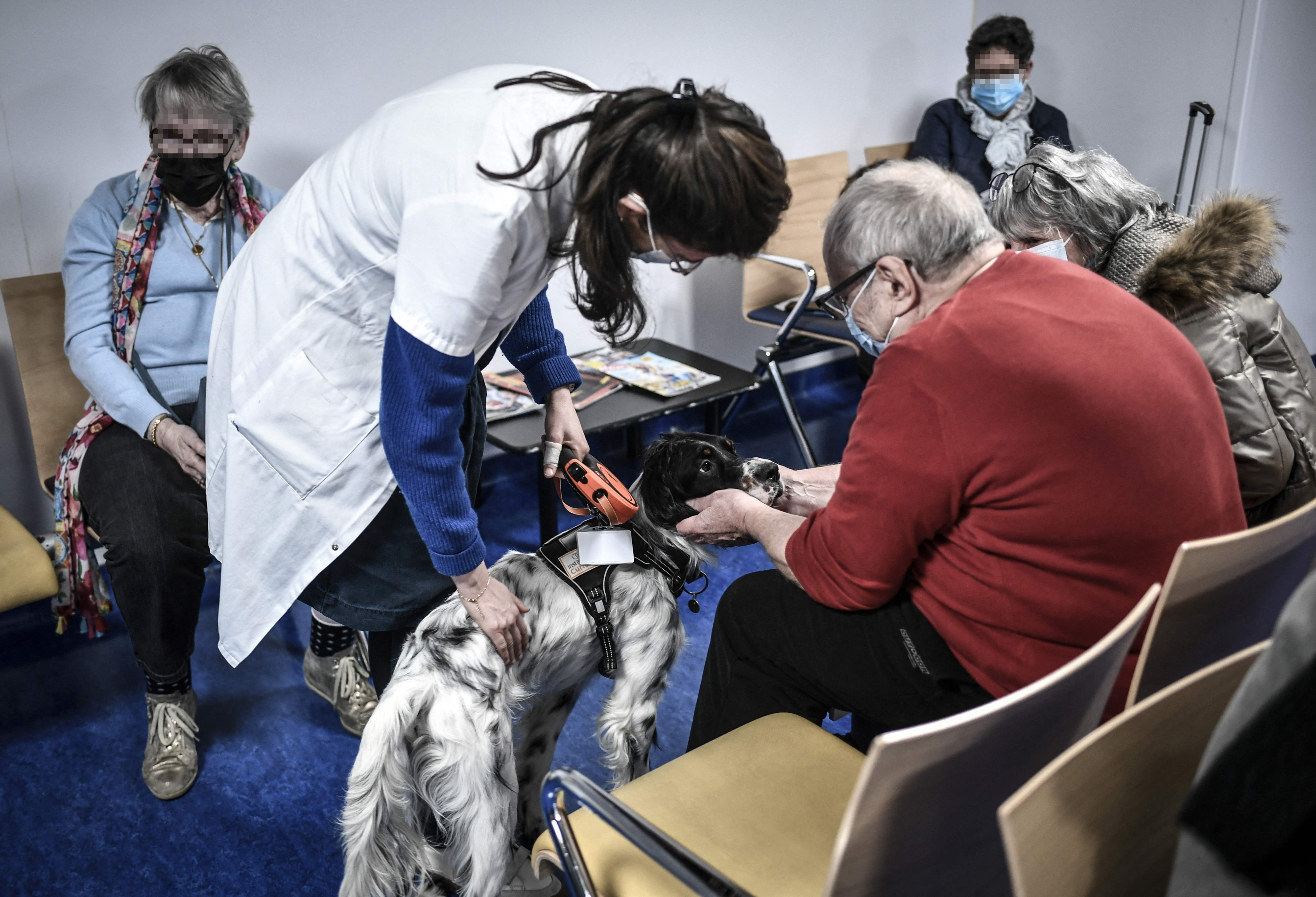 （外代一线）巴黎：帮助癌症患者的狗狗“医生”