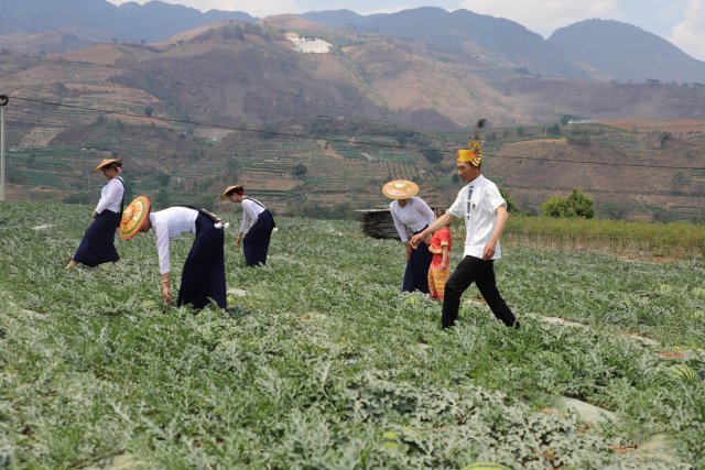 有一种叫云南的生活|保山昌宁:“四季产业”促增收,瓜甜果大菜蔬香