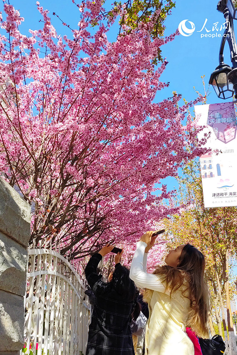 春天花“卉”开朵朵含情迎客来