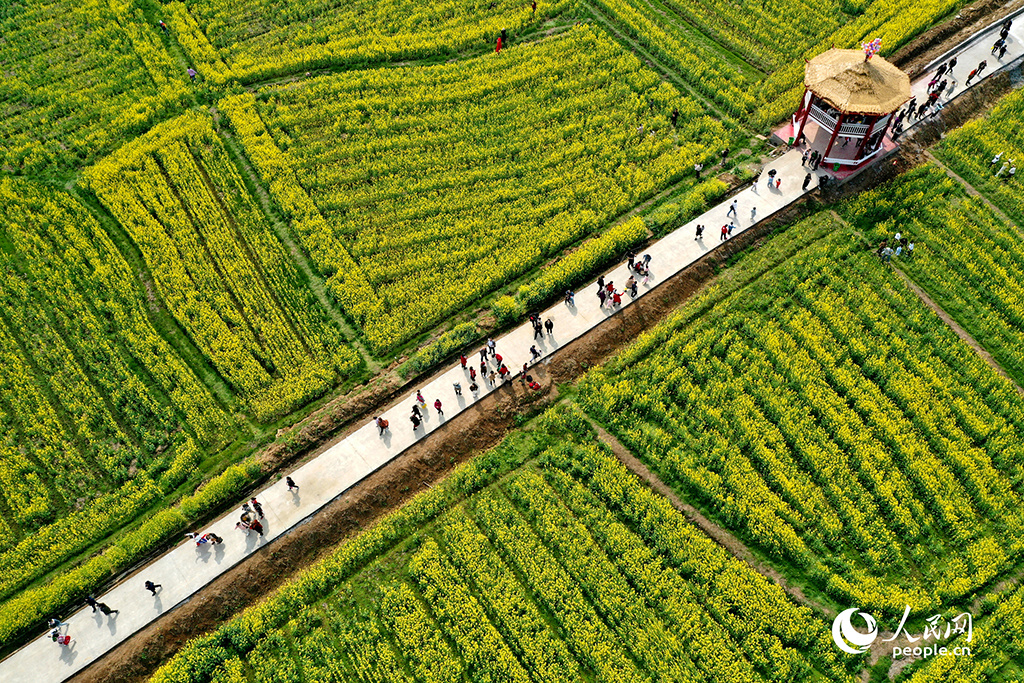 春天花“卉”开朵朵含情迎客来