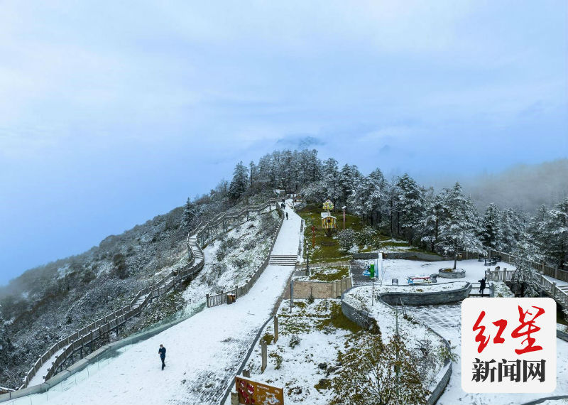 社保卡缴水费享优惠——创新探索赋能新场景大邑“小卡片”里的“大民生”