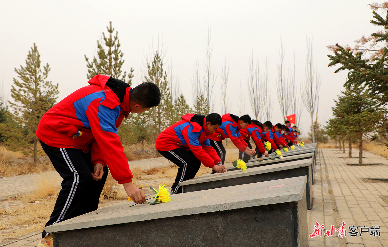 传承清明祭英烈主题教育活动,致敬清明祭英烈主题活动