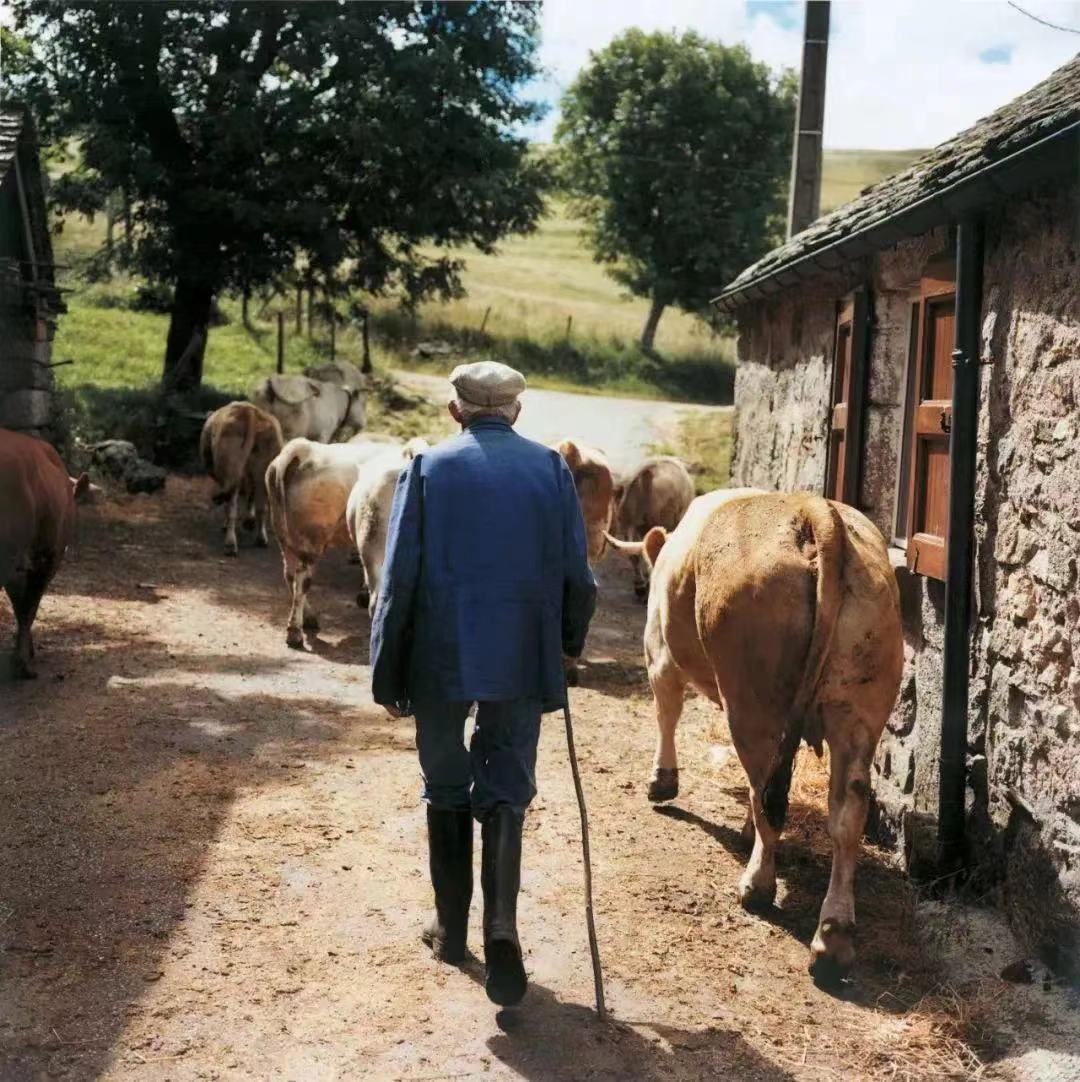 赵孟頫书法展,一周观展指南书画