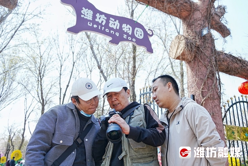 潍坊金宝乐园导游图高清,潍坊金宝乐园实体拍摄