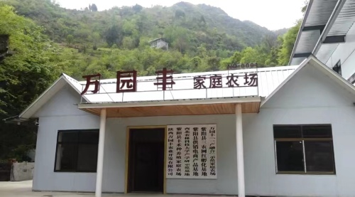 农村小伙回农村创业做农产品电商,小伙子返乡创业帮农民卖出农产品