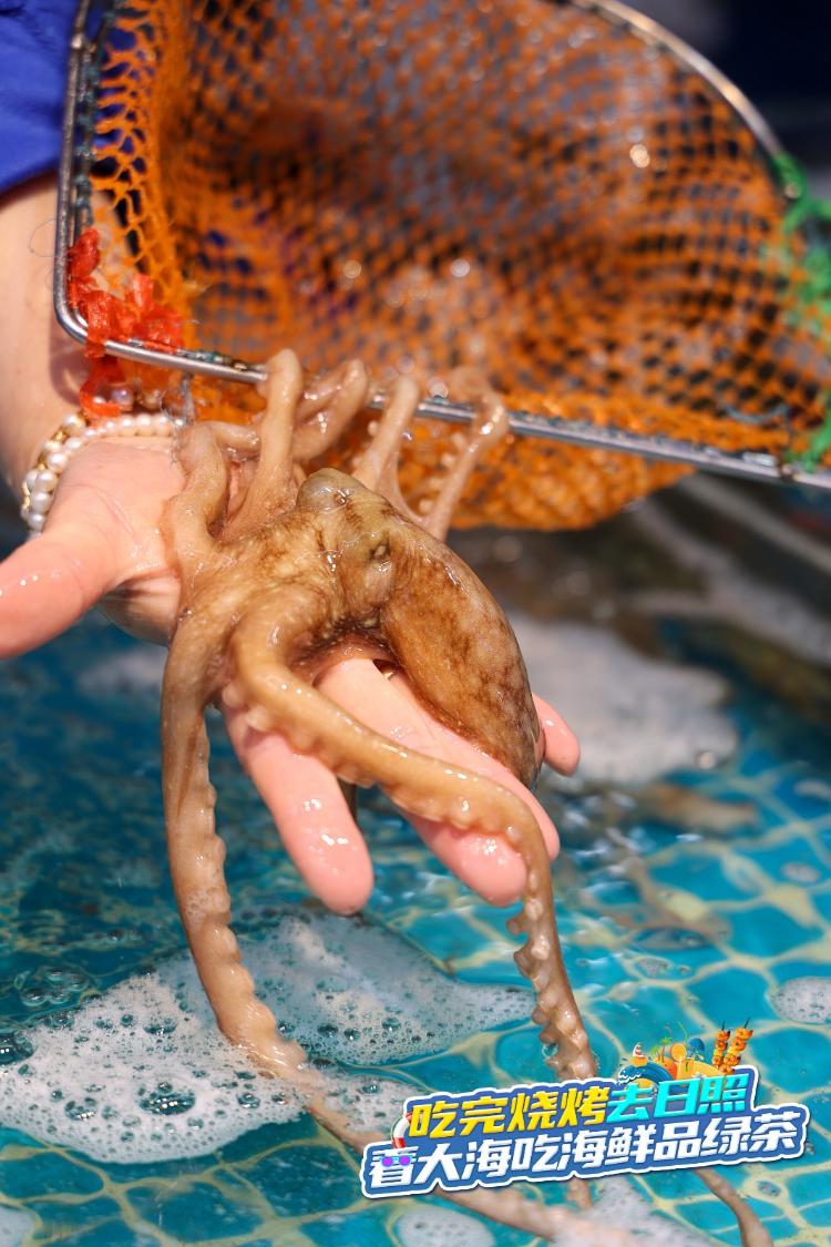 吃完烧烤来日照｜海鲜篇：春味正好，日照“虾婆”透肥！震鲜！