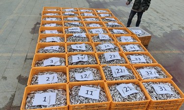 网购手机超过7天无理由怎么退货,网购手机7天无理由退货条件