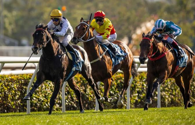 最多外队马参赛的一届，谁将称霸2023富卫保险冠军赛马日？