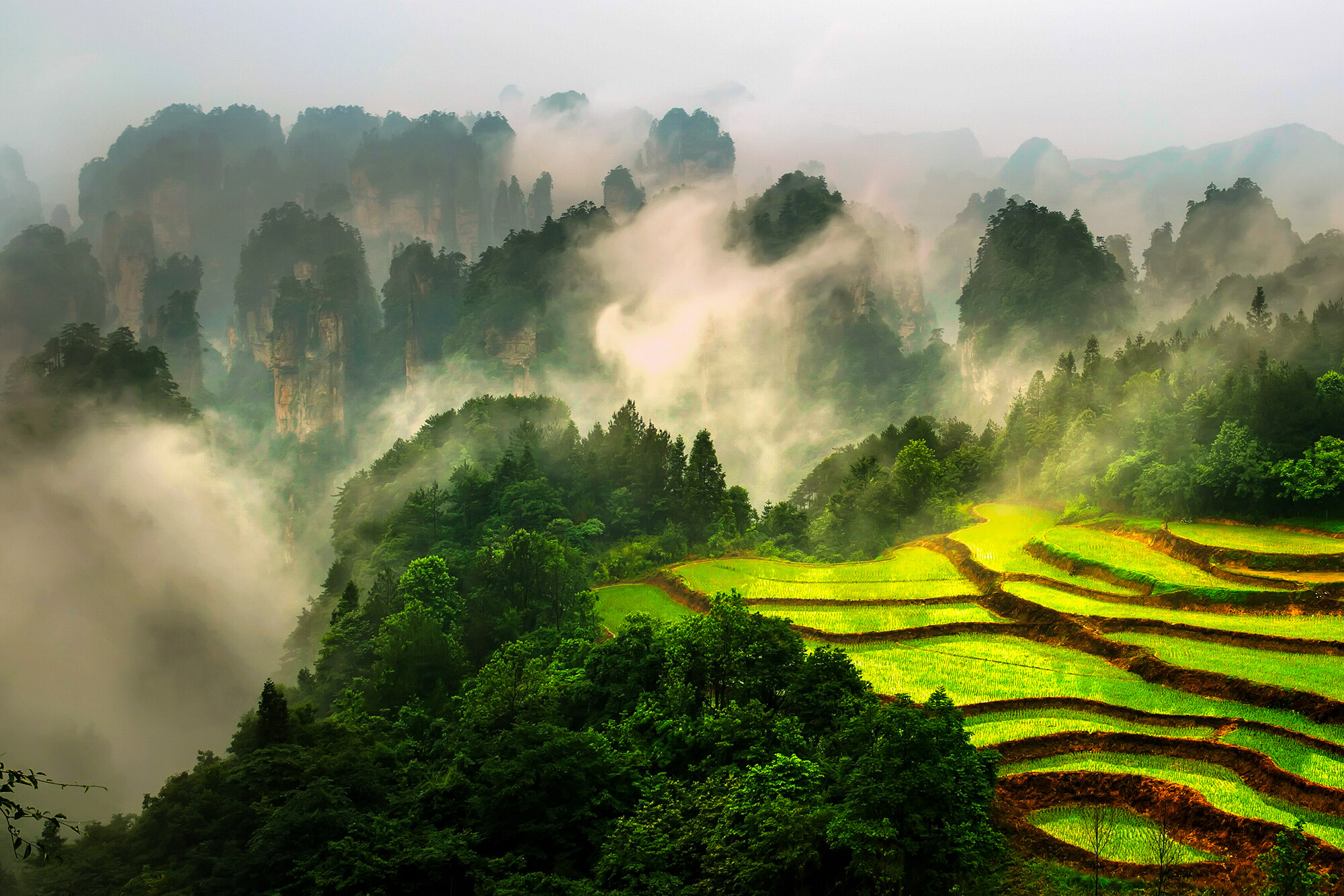 文明村镇创建巡礼,全国文明村镇创建巡礼视频