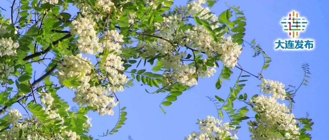 嗨玩万达广场,嗨玩大连团购