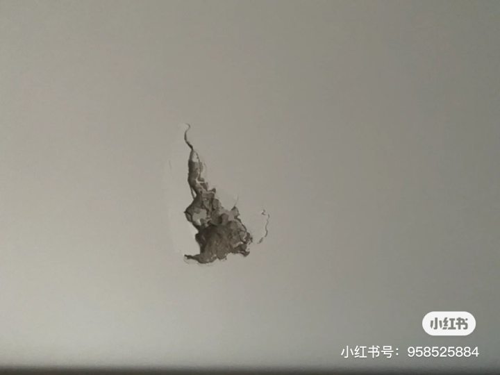 吴女士房子装修,装修导致楼上墙裂