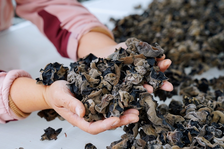 《破局乡村振兴》的金句,破题乡村振兴