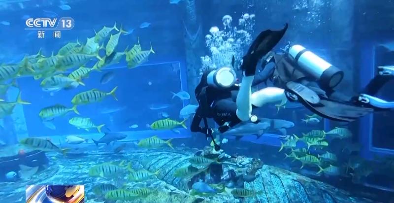 五一长假旅游最新信息,五一旅游最危险的景点