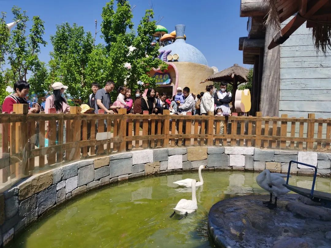 向海乐活节音乐节,2024滨城向海乐活节