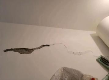 哈尔滨租户拆承重墙,哈尔滨租户砸掉承重墙原视频