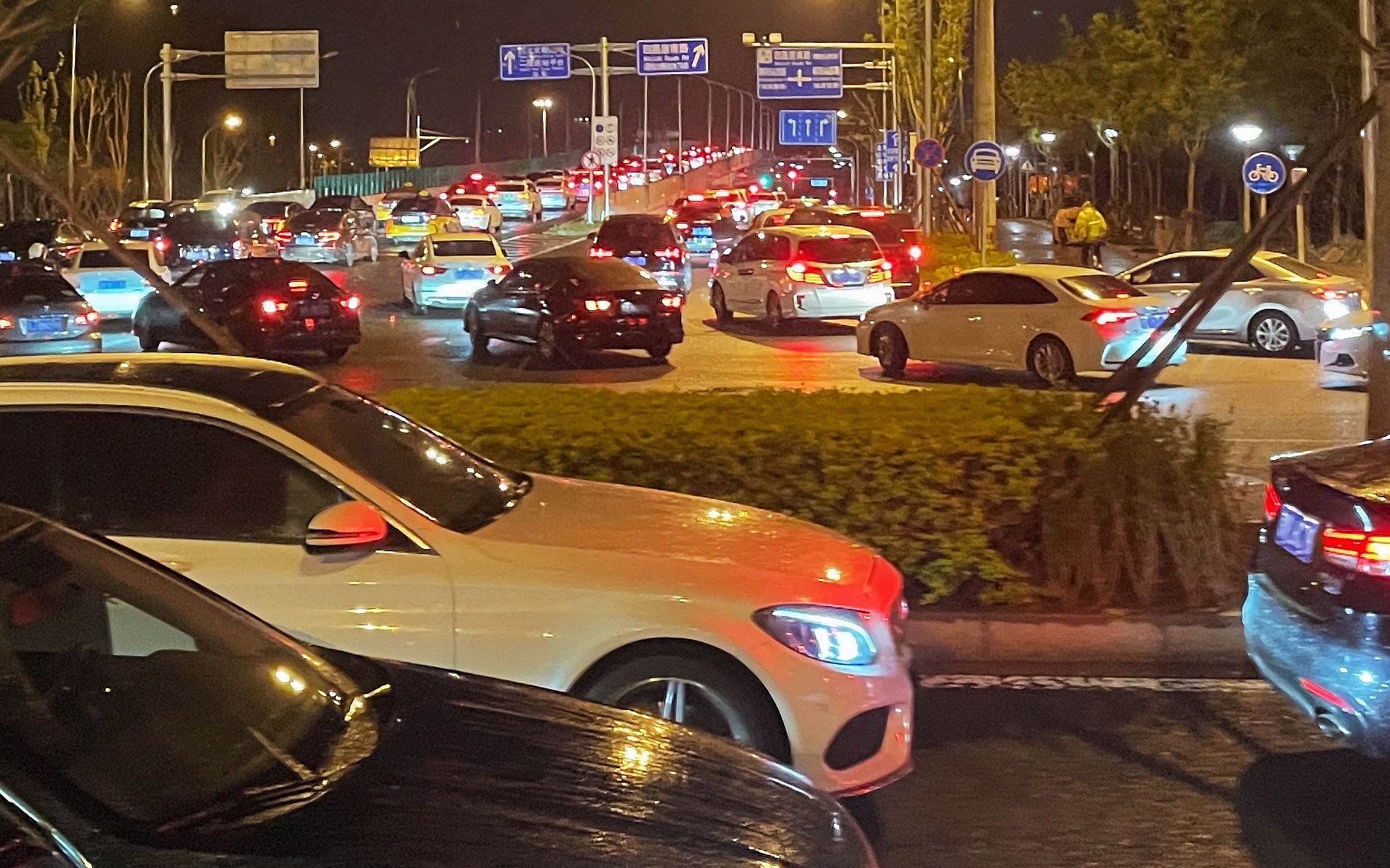 董红娟成全球女性第一人,董红娟最近采访全过程