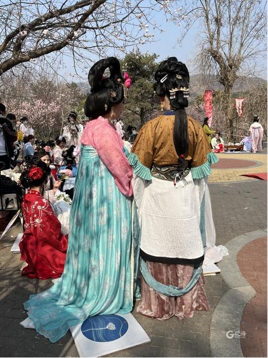 镜像实体店,镜像微观