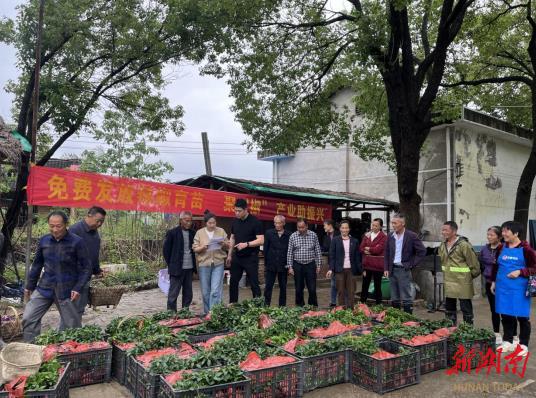 电商回乡创业振兴乡村,邵东农村电商