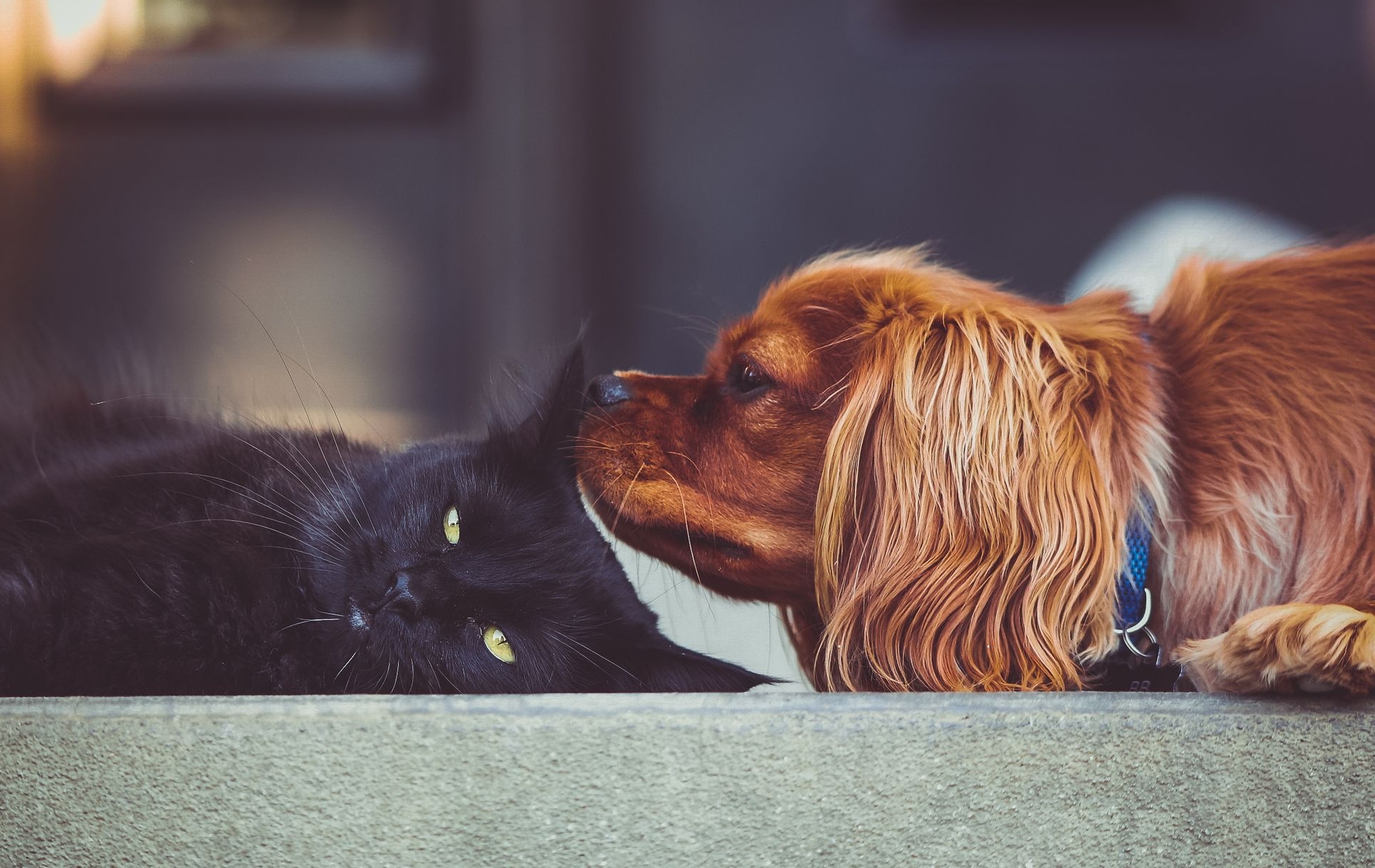 关于中国科学的百科知识,科学中国人专访